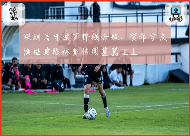 深圳马可波罗锋线升级，贺希宁交换福建陈林坚传闻甚嚣尘上