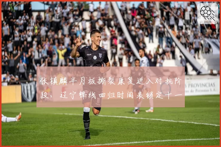 张镇麟半月板撕裂康复进入对抗阶段,辽宁锋线回归时间表锁定十一月上旬