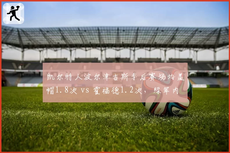凯尔特人波尔津吉斯季后赛场均盖帽1.8次 vs 霍福德1.2次，绿军内线护框交替升级