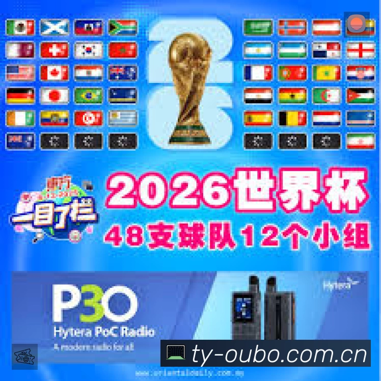 安全使用与支持流程
